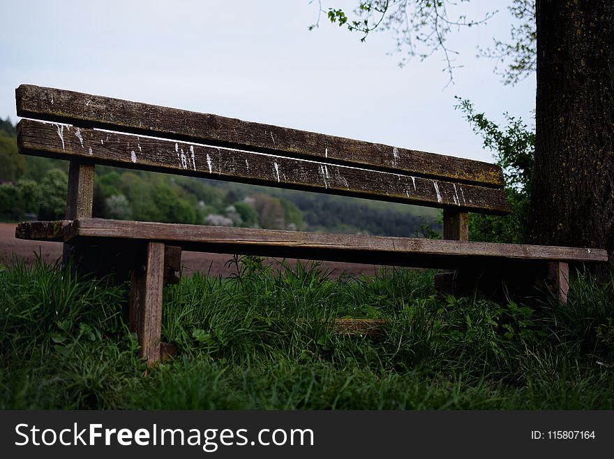 Bench, Grass, Wood, Girder Bridge