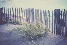 Wooden Fence On Atlantic Beach In France Stock Photography