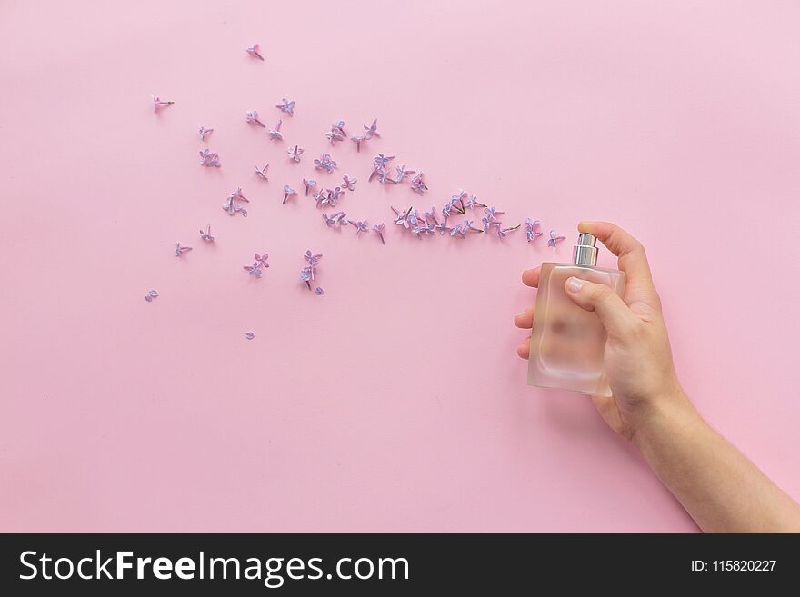 Hand holding stylish bottle of perfume with spray of lilac flowers on pink background. creative trendy flat lay with space for text. modern image. perfumery and floral scent concept