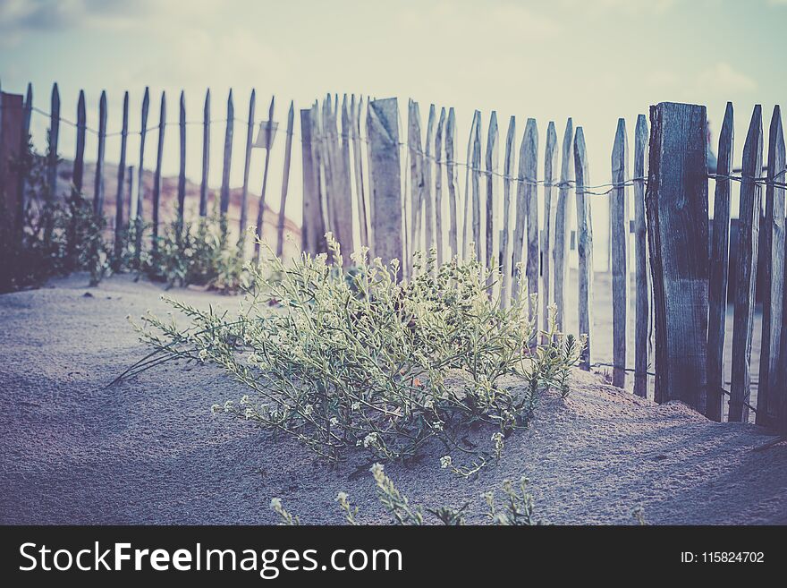 Wooden fence on Atlantic beach in France