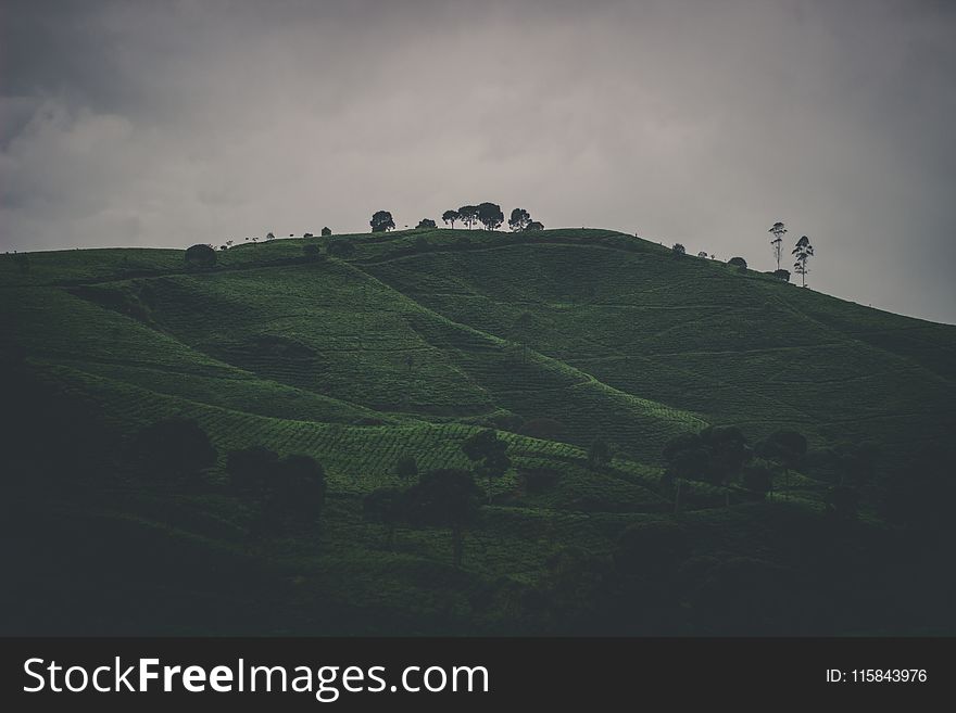 Cloudy, Countryside, Cropland