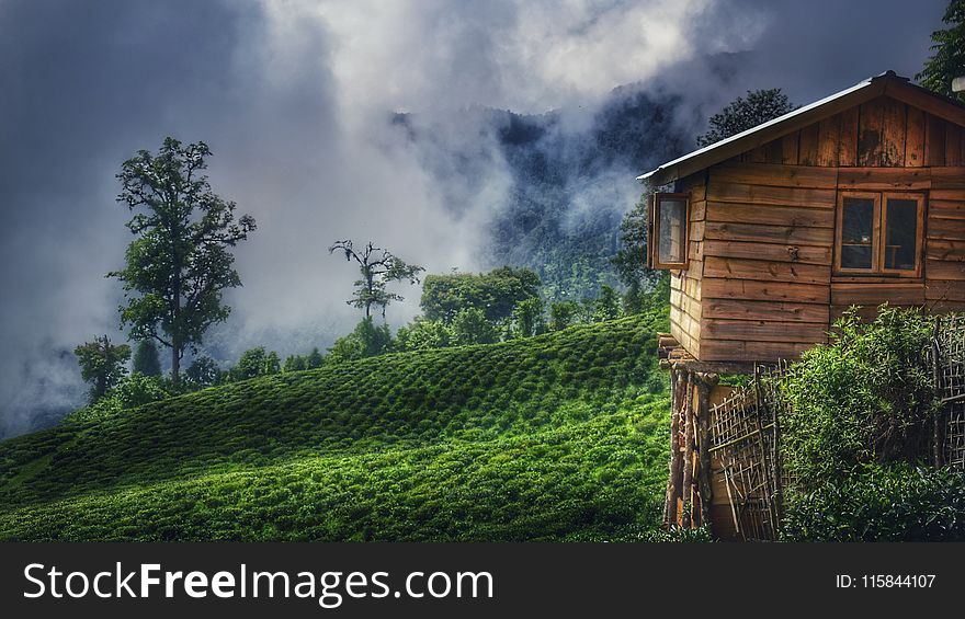 Brown Wooden House On Green Grass Field