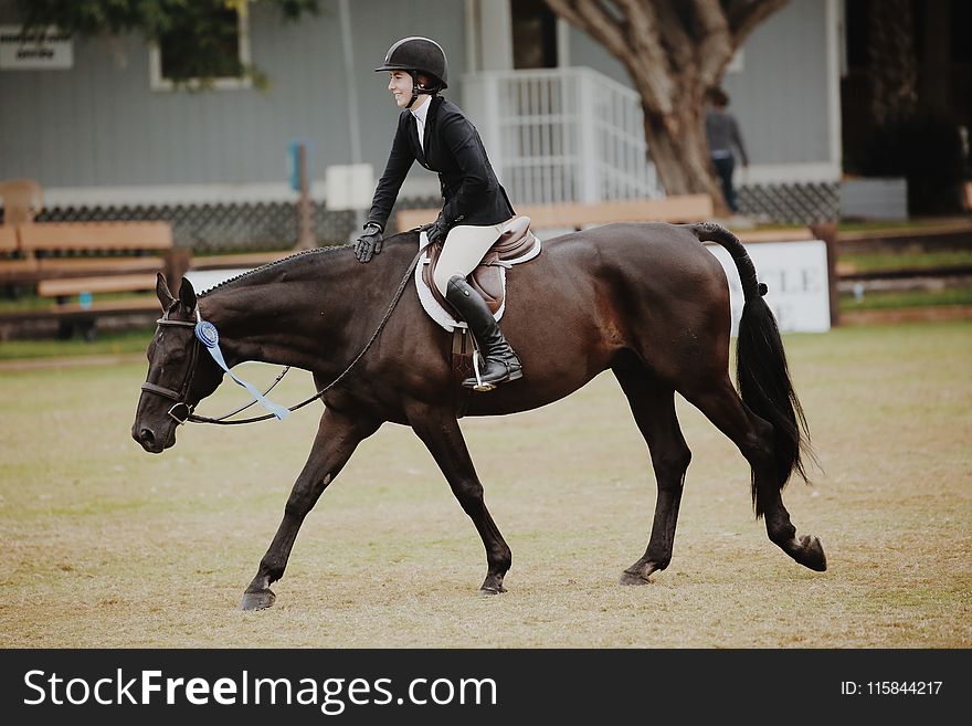 Woman Riding Horse