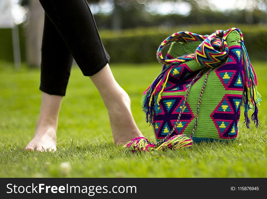 Grass, Plant, Lawn, Shoe