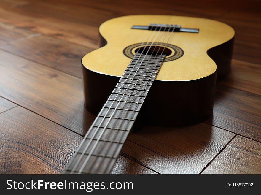 Musical Instrument, Guitar, String Instrument Accessory, Acoustic Guitar