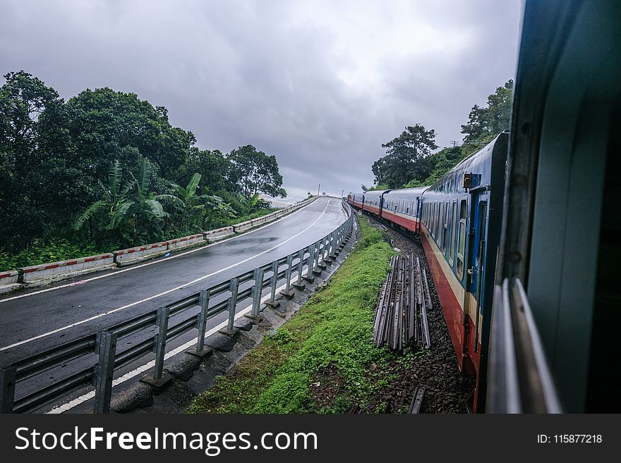 Track, Transport, Rail Transport, Tree