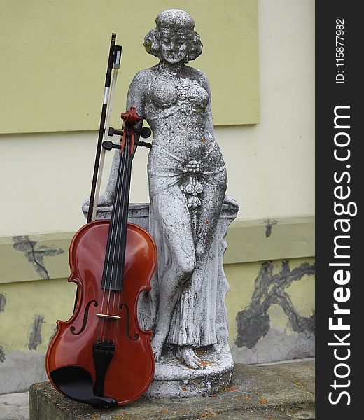 Violin Family, Violin, Cello, Musical Instrument