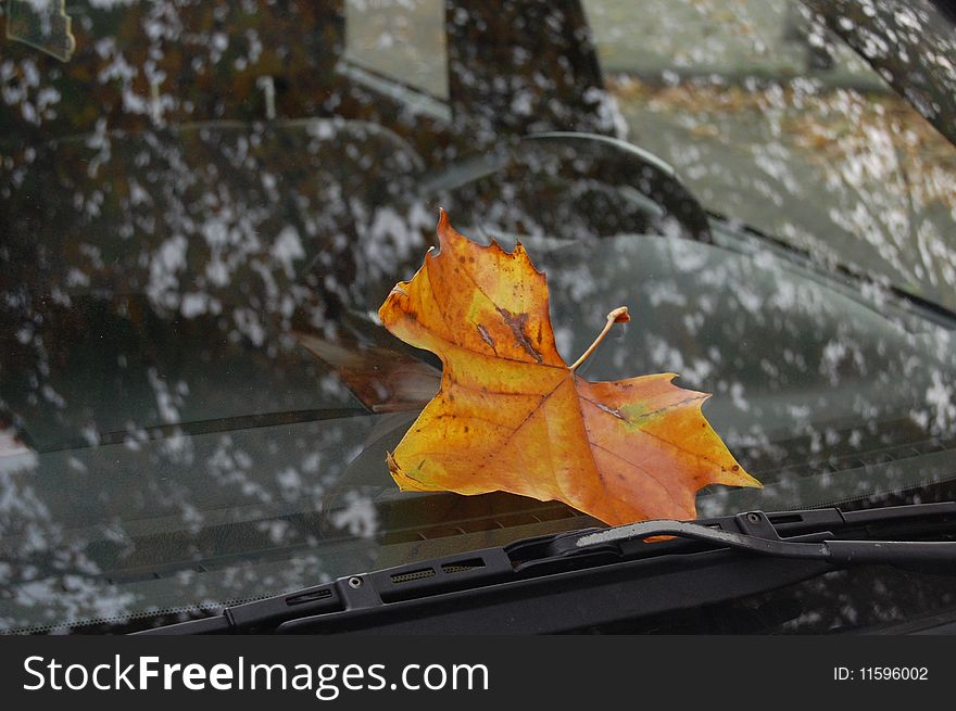 Autumn leaf on a car window. Autumn leaf on a car window