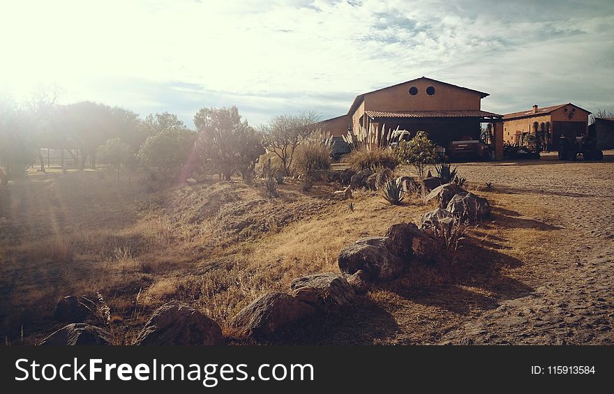 Brown House Near Trees Under White and Blue Sky