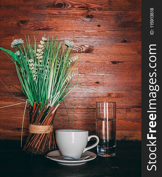 Green Leafed Plants Near White Ceramic Teacup and Saucer