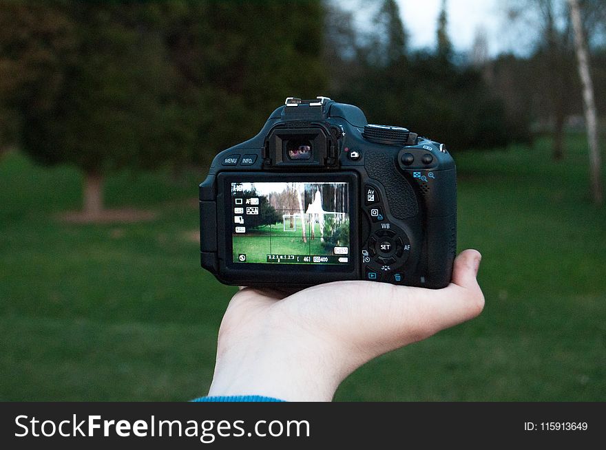 Shallow Focus Photography of Black Dslr Camera on Person&#x27;s Right Hand