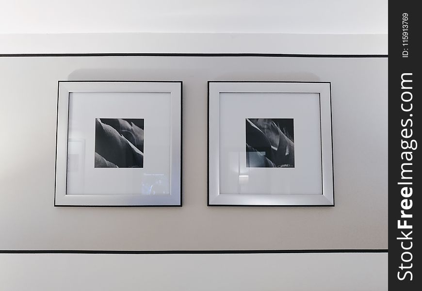 Two Gray and Black Flower Paintings on Wall Inside the Room