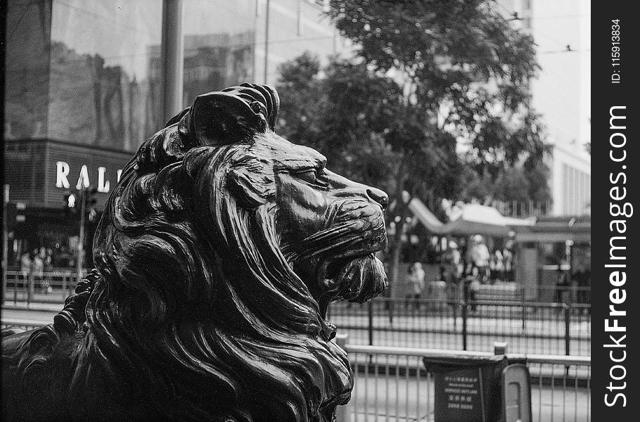 Grayscale Photo of Lion Statue