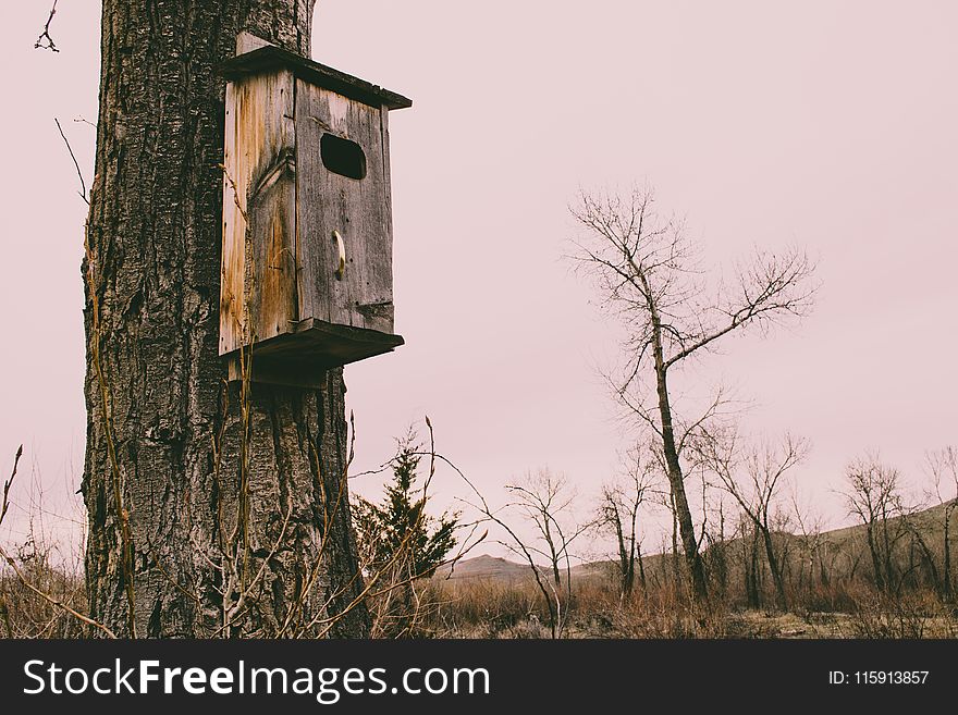 Photography of Brown Wooden Birdhouse