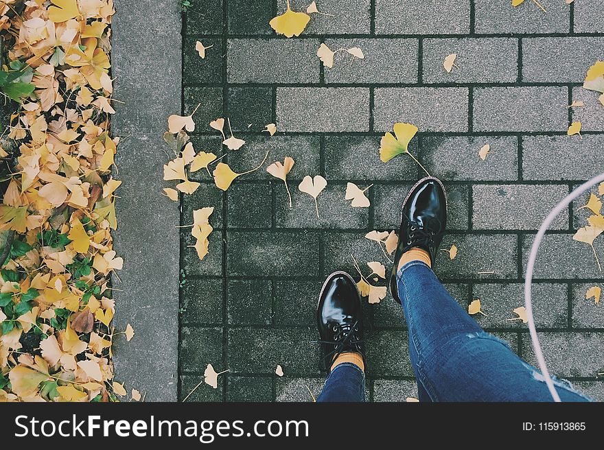 Person Wearing Black Patent Leather Dress Shoes on Gray Brick Pathway