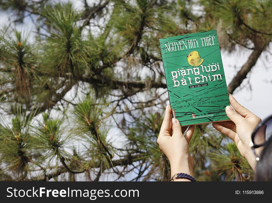 Person Holding Green Novel Book