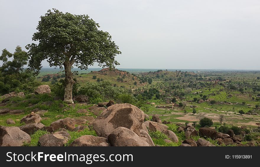 Landscape Photo of Green Grass Field