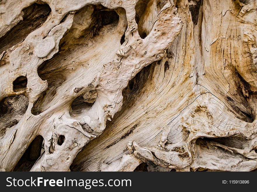 Beige Wood Decor