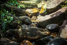 A Small Waterfall In The Rain Forest Stock Photos