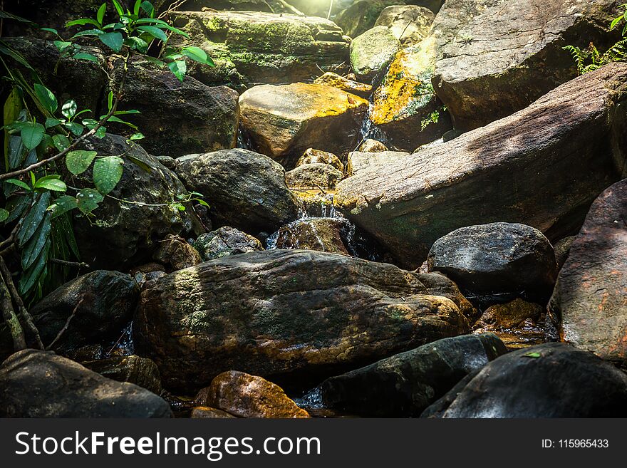 A small waterfall in the rain forest of Sinharaja, Sri Lanka