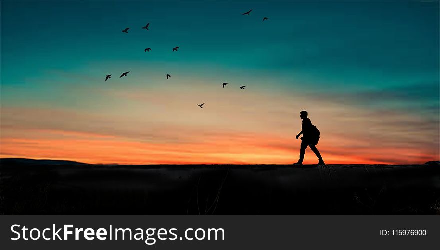 Silhouette of Person Walking
