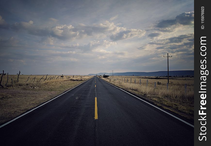 Landscape Photography of Pavement Road