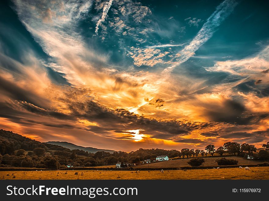 Orange and Blue Skies during Sunset