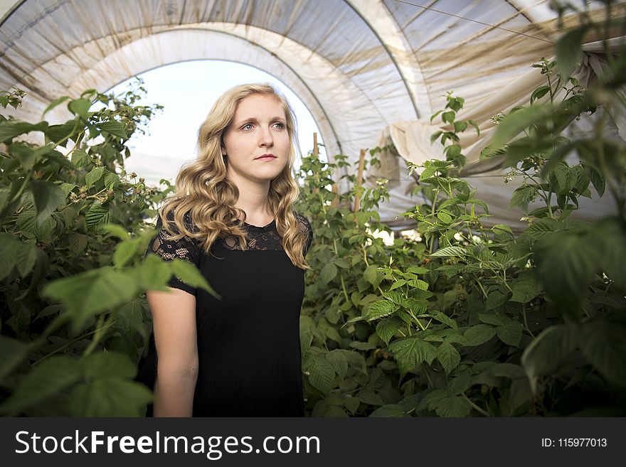 Woman at the Back of Green Plants