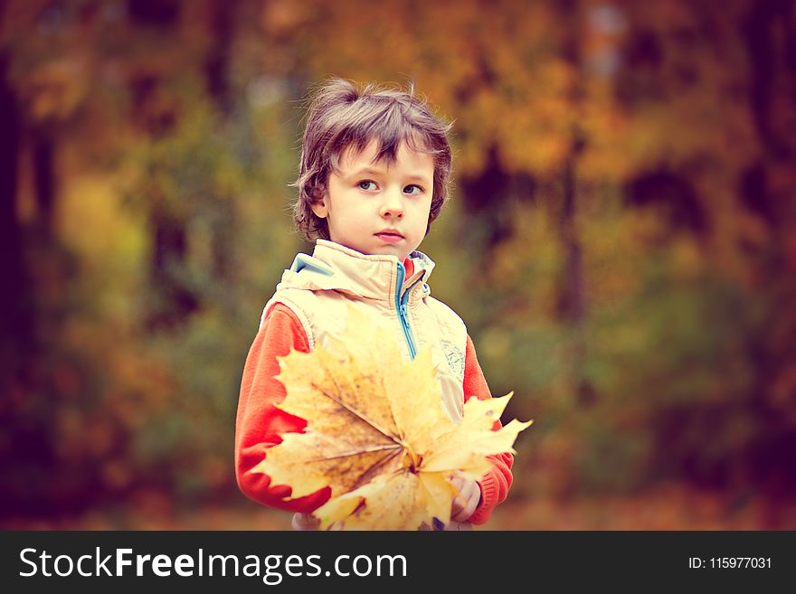 Boy Wearing White and Red Zip Jacket Holding Brown Maple Leaf