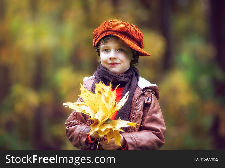 Boy Wearing Brown Leather Jacket Holding Yellow Leaves