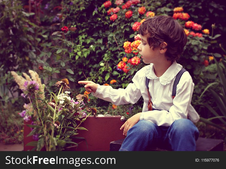 Photo of Boy Sitting and Touch Flowers