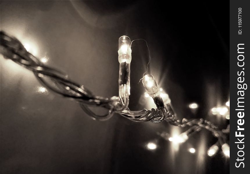 Selective Focus Photography of String Light