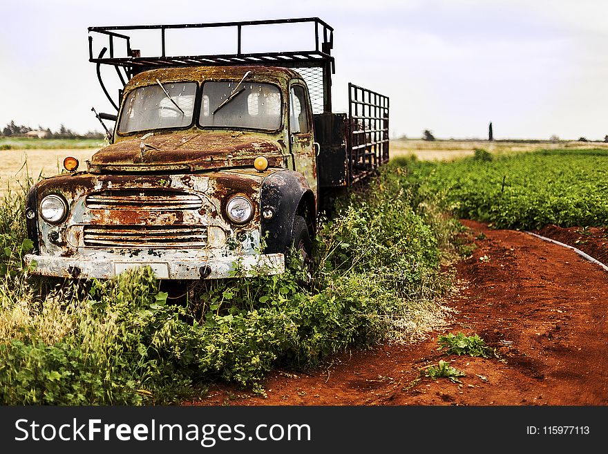 Brown Utility Truck on Grass