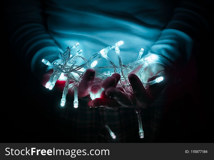 Person Holding White String Lights