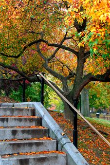 Boston Public Garden Royalty Free Stock Photos Boston Public Garden Royalty Free Stock Photos