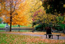 Boston Public Garden Royalty Free Stock Photo Boston Public Garden Royalty Free Stock Photo