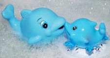 Dolphin Kiss Royalty Free Stock Image Dolphin Kiss Royalty Free Stock Image