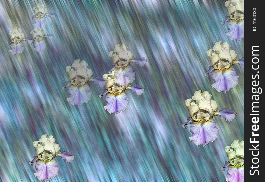 Abstract background with irises floating. Abstract background with irises floating