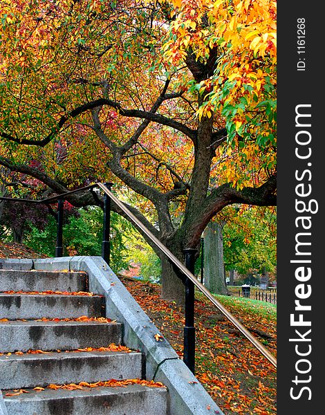 Autumn in Boston Public Garden