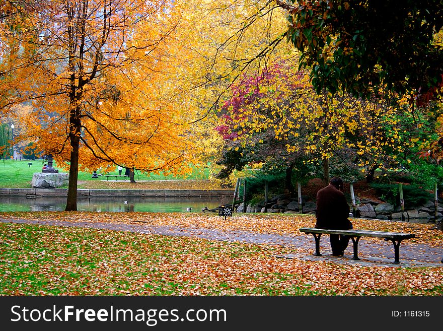 Autumn in Boston Public Garden