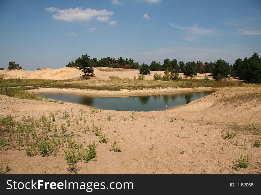 Beautiful lake in the oasis. Beautiful lake in the oasis