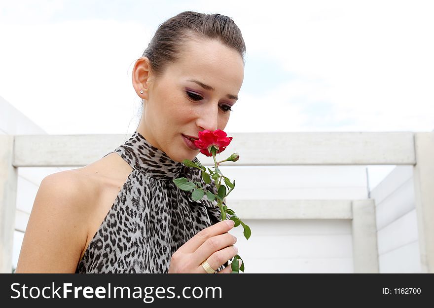A Girl holding a red rose. A Girl holding a red rose