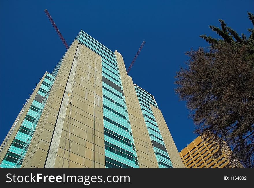 Office towers in Calagary Alberta, Canada's oil capital. Construction cranes can be seen at the top. Office towers in Calagary Alberta, Canada's oil capital. Construction cranes can be seen at the top.