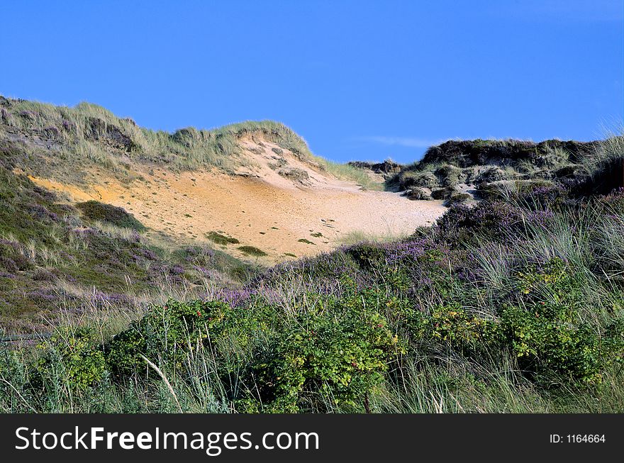 Typical dunescape in northern Germany