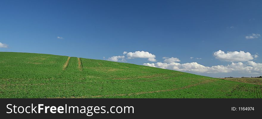 Green spring and blue sky landscape in the  danish country. Green spring and blue sky landscape in the  danish country