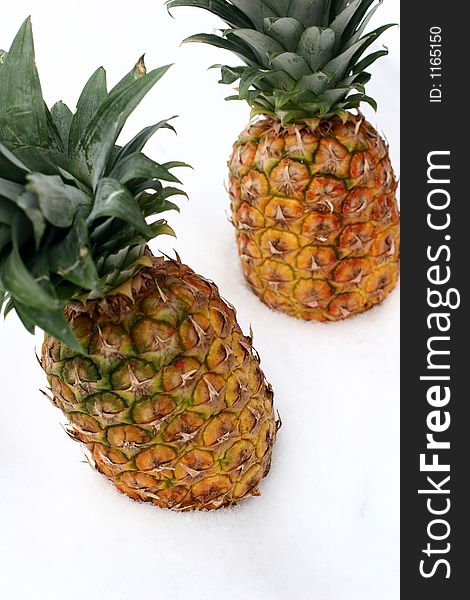 Close up picture of pineapples in snow. Close up picture of pineapples in snow