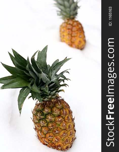 Close up picture of pineapples in snow. Close up picture of pineapples in snow