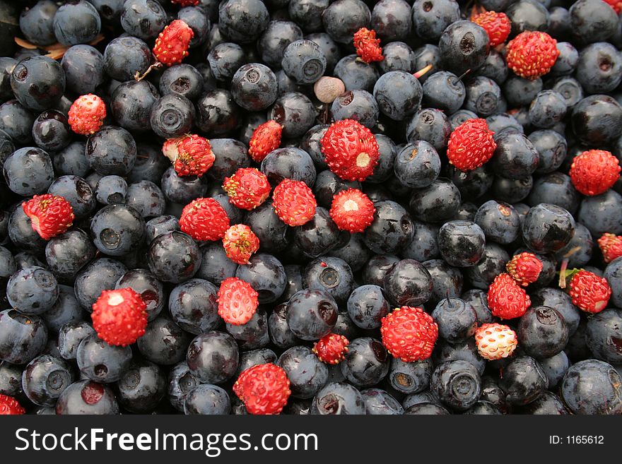 Wild blueberry and wild strawberry
background