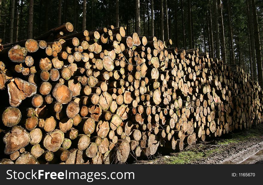 Woodpile closeup on  tree trunks in the sun