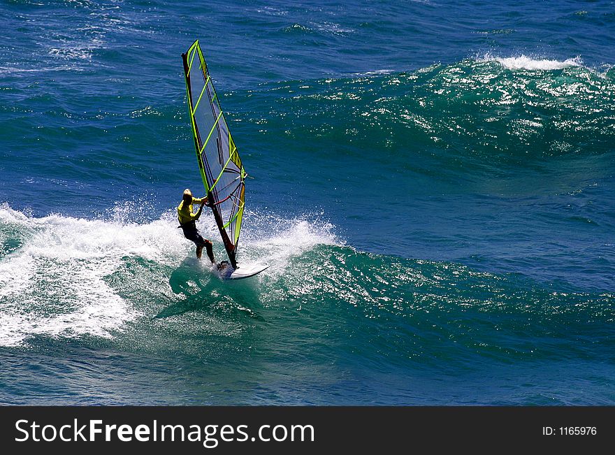 Windsurfer on a Wave